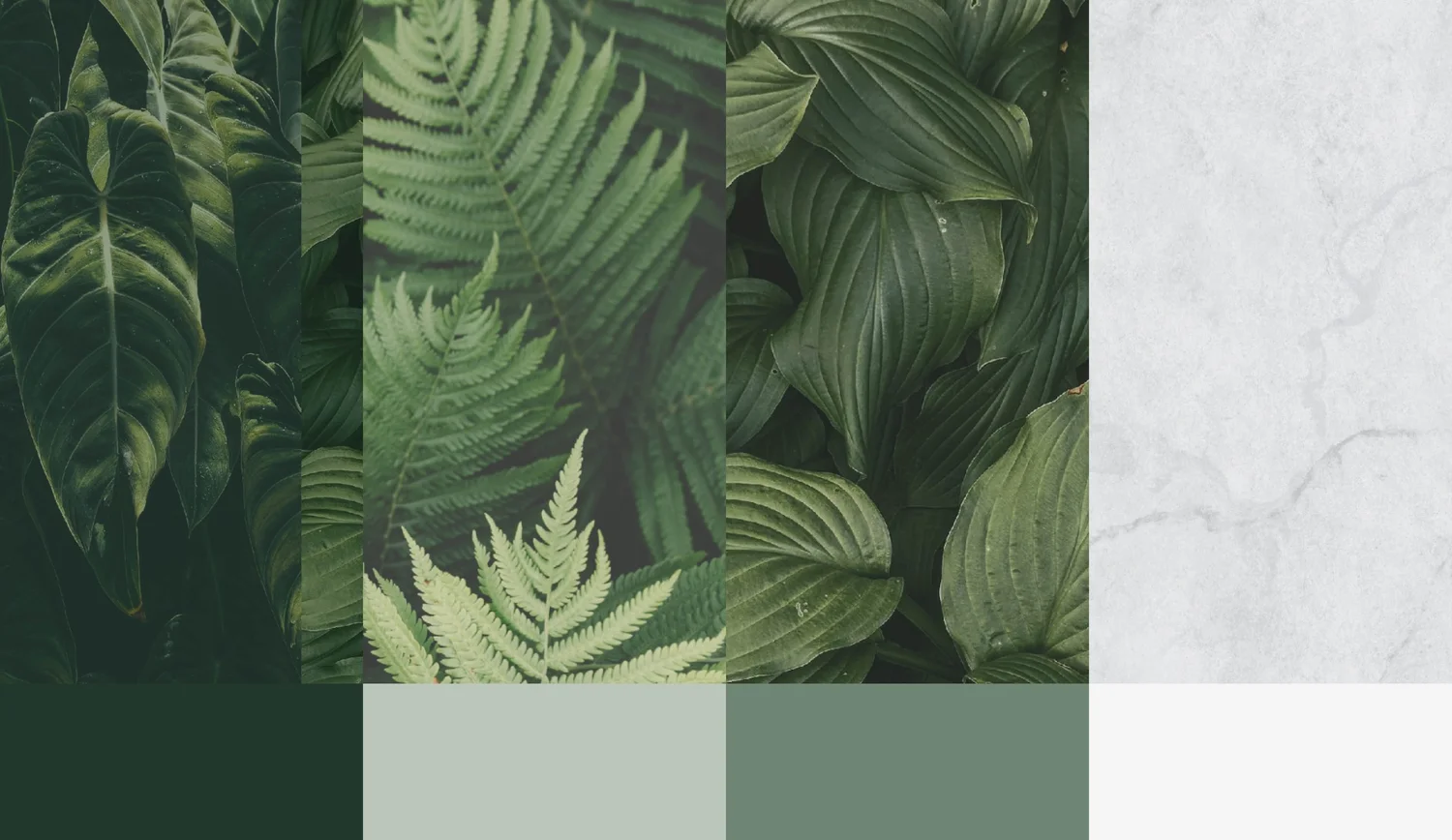 Green Poya